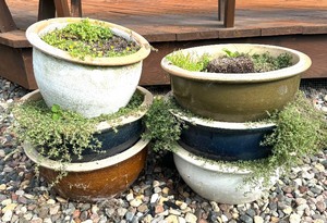 lot 104C image: Variety of Planter Pots