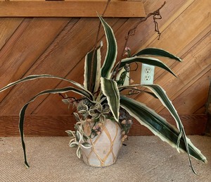 lot 128 image: Fine Faux Florals