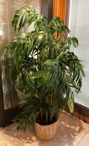 lot 190 image: Fabulous Faux Fica Tree