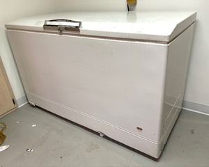 lot 446 image: Sears Coldspot Chest Freezer