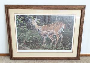 lot 53A image: A Quiet Moment Deer Print