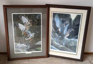 lot 202A image: Pair of Framed Bird Prints