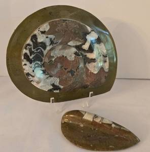 lot 132 image: Incredible Fossils in Stone
