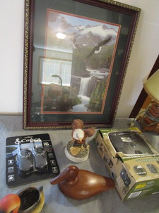 Game Camera, Duck Decoy, Eagle Print