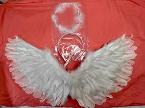 MM. Angel Wings & Halo