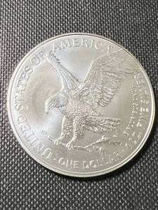 2024 AMERICAN SILVER EAGLE 1 TROY OZ .999 FINE SILVER