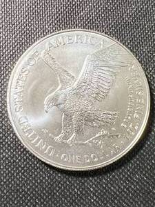 2024 AMERICAN SILVER EAGLE 1 TROY OZ .999 FINE SILVER