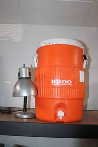 lot 33 image: Igloo 5 Gallon Drinking Water Cooler and Desk Lamp