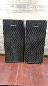 lot 355 image: Set of 2 Realistic Caged 30 Speakers
