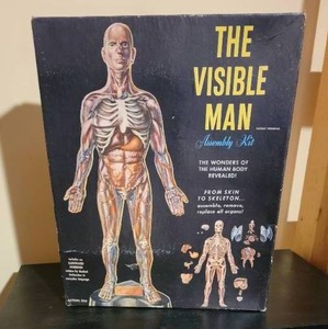lot 131 image: NOS  Renwal The Visible Man Model Kit
