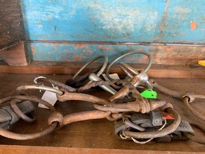 Horse bits and cords