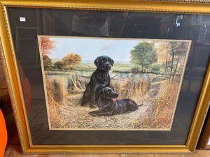 Hunting dog pictures