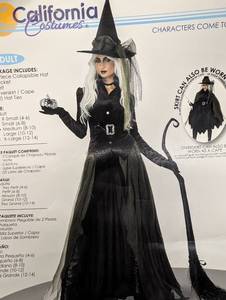 lot 11 image: California Costumes Adult Gothic Witch Costume