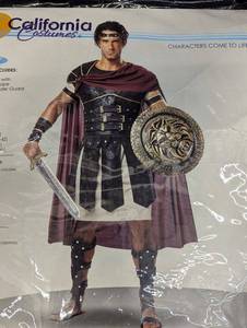 lot 20 image: California Costumes Roman Gladiator Costume