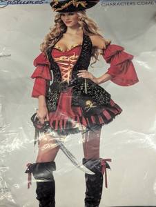 lot 34 image: California Costumes Adult Pirate Costume