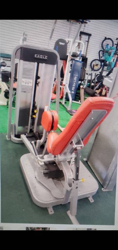 Cybex hip abduction adduction machine hotsell