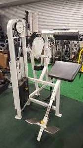 lot 11 image: Cybex Back Extension