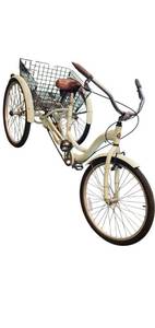lot 66 image: Used Tricycle