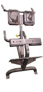 lot 74 image: Cybex Back Extension