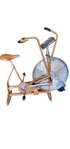 lot 78 image: Schwinn Airdyne Ad2