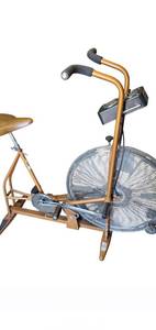 lot 79 image: Schwinn Airdyne Ad2