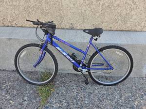 lot 373H image: Murry Mountain Bike 20 Frame