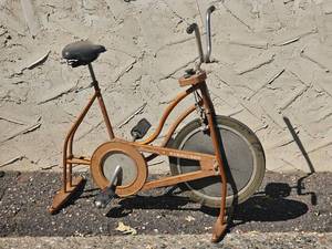 lot 387 image: Schwinn Stationary Bike