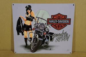 lot 138 image: Raised Metal Harley Davidson Sign