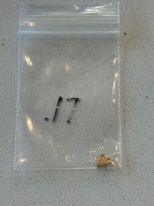Gold Nugget .17 Grams