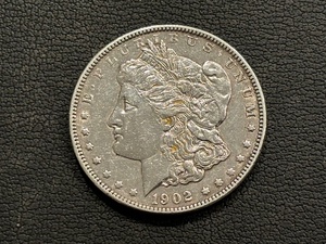 1902 Morgan Dollar