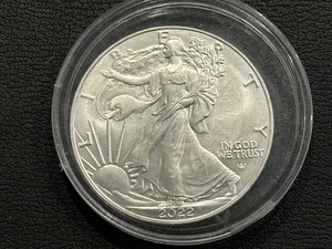 2022 Silver Eagle