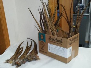Pheasant Tails (25).