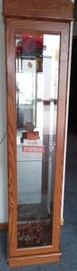 Lighted Curio Display.
