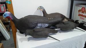 Foam Turkey Decoys(2) and Hard Plastic Ravens (2)