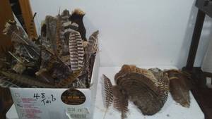 Feather Variety Turkey, Pheasant.