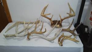Antler Sheds (10)