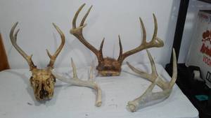 Antler Sheds (6)