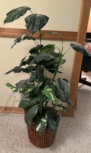 lot 90 image: Fantastic Faux Plant