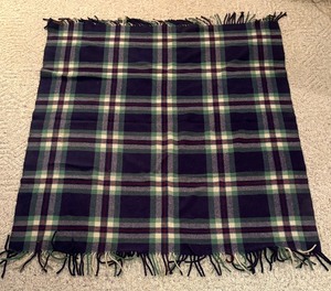 lot 93 image: American Woolen Company Blanket