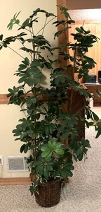 lot 104 image: Fantastic Faux Tree