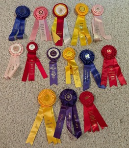 lot 156 image: Variety of Horse Race Ribbons