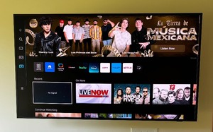 Samsung 55 Inch TV