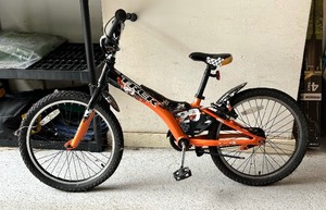 Trek Jet 20 Childrens Bicycle