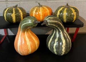 Faux Pumpkin and Gourd Decor