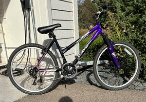Northern Ridge Ozone 500 Bicycle