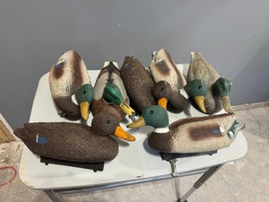 lot 75 image: Duck Hunting Decoys - Quantity Seven