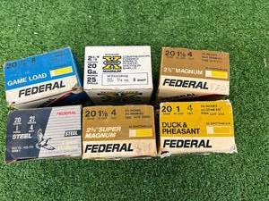 20 Gauge Shotgun Shells