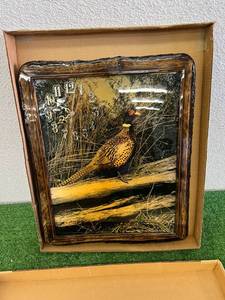 NOS Wildlife Clock