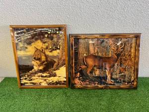 Wildlife Clocks