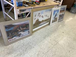 Wildlife Prints